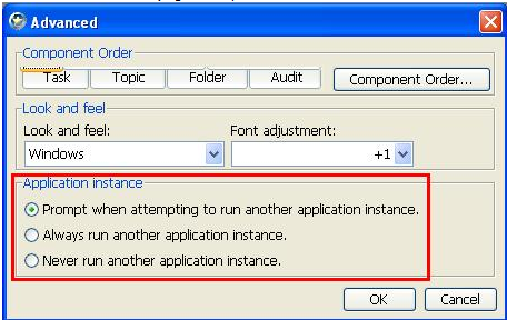 Application Instance Window