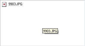 9903.JPG