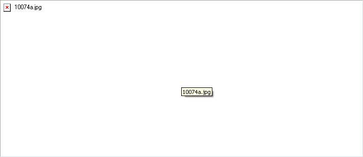 10074a.jpg