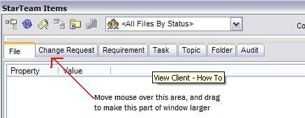 View Client - How To